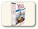 Fun Challenge DVDs by Wai Lana