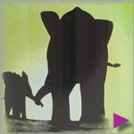 Eco Kids Safe 'Elephant' - Water Bottle from Earthlust at playtimeyoga.com