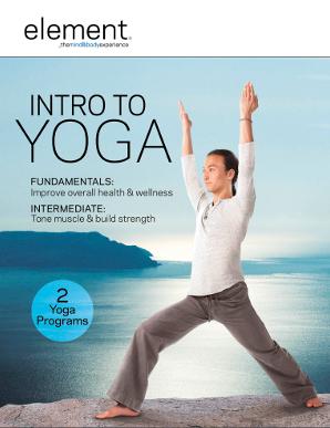 Intro to yoga Tamal Dodge DVD