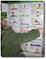 Yoga Poster with Asanas for Children