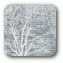 Men's Organic Peaceful Tees CPP TREE